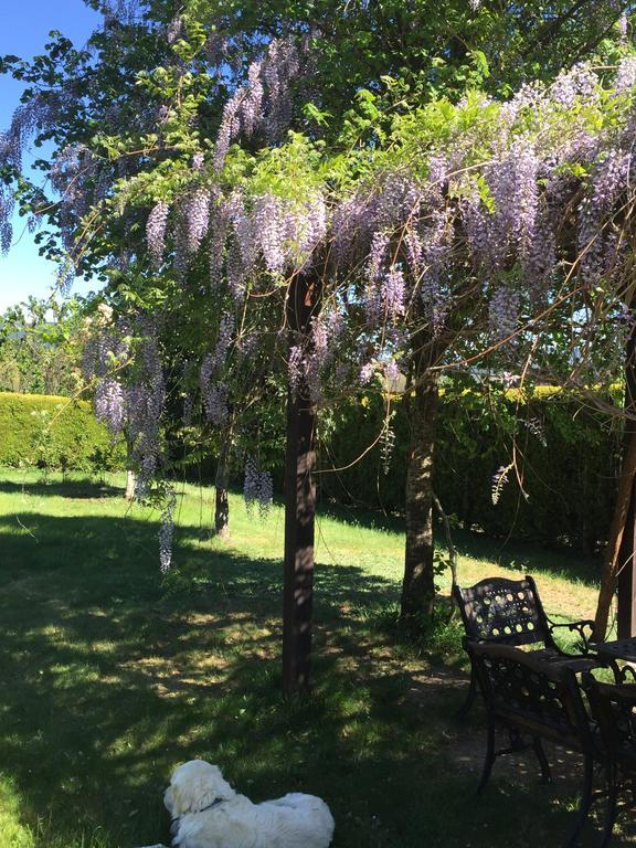 Alojamiento En Entorno Rural Los Trobos Villar de Otero Экстерьер фото