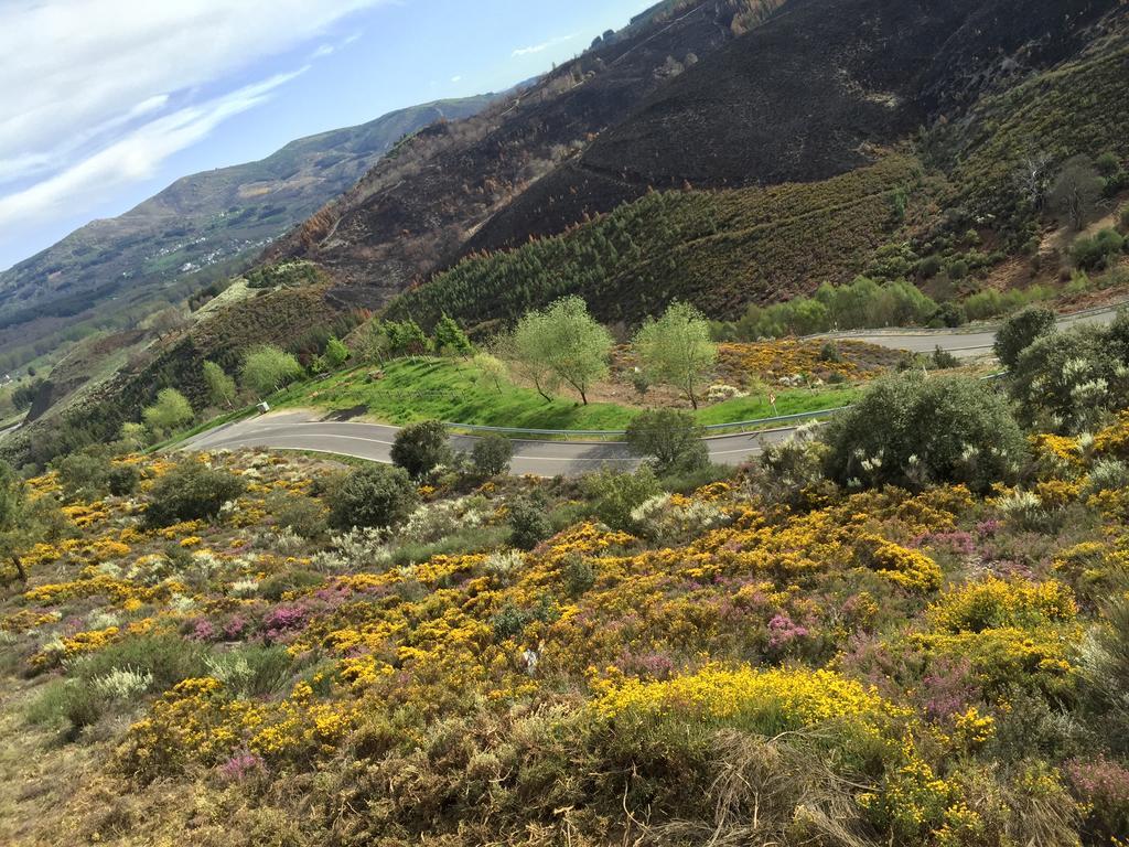 Alojamiento En Entorno Rural Los Trobos Villar de Otero Экстерьер фото