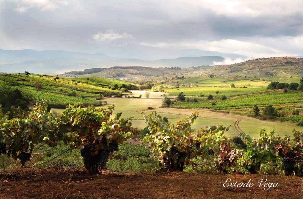 Alojamiento En Entorno Rural Los Trobos Villar de Otero Экстерьер фото